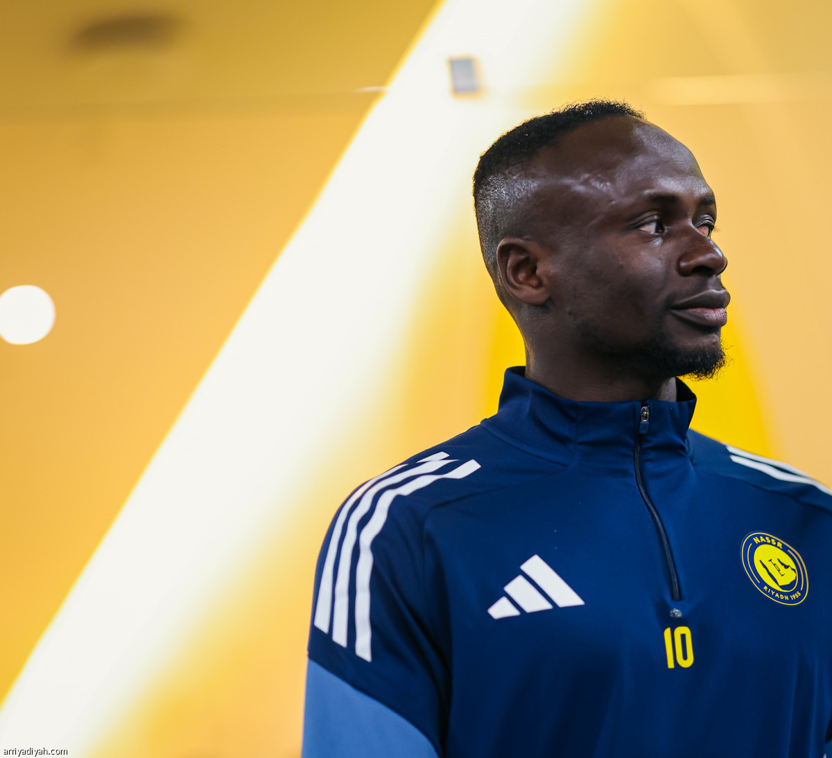 تكريم «الأسد»