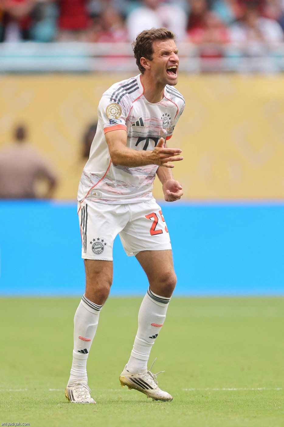 البافاري يتأهل