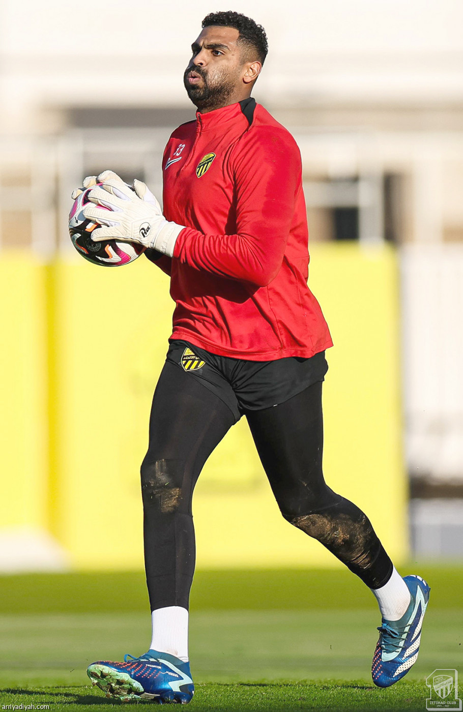 استعدادات مكثفة