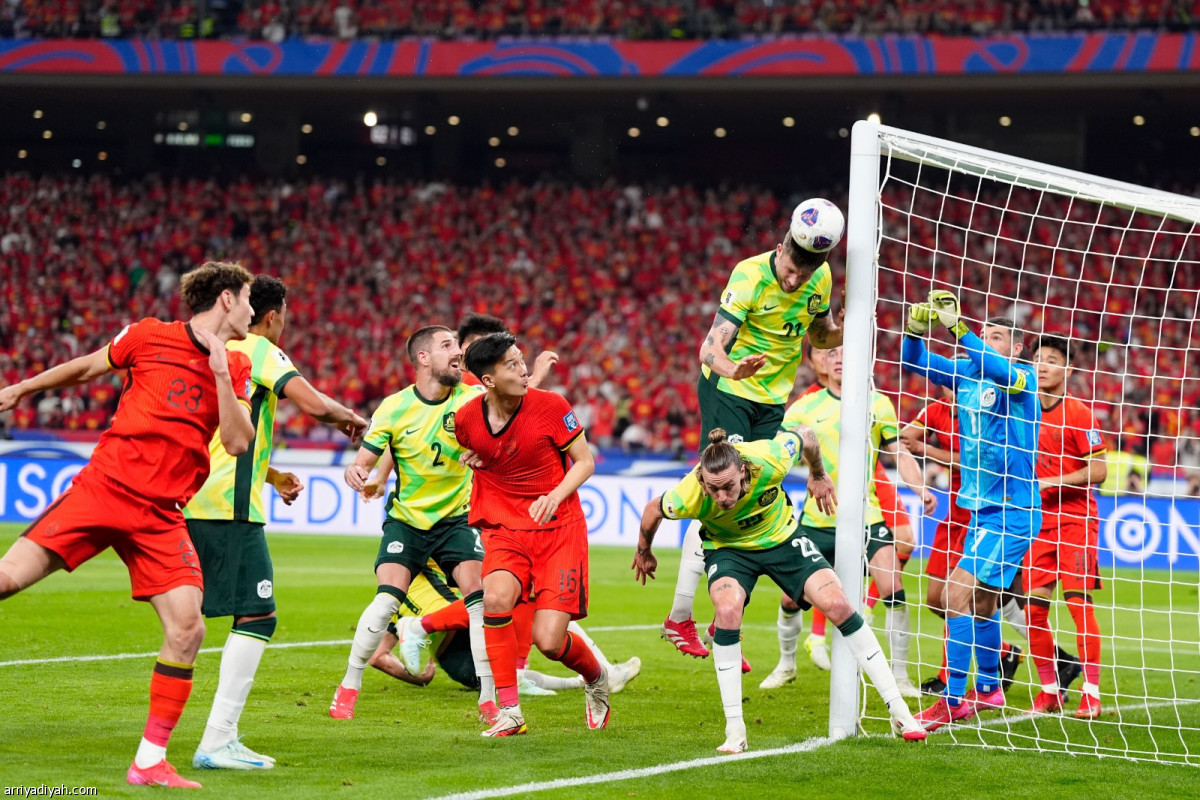 الكنغر يقترب