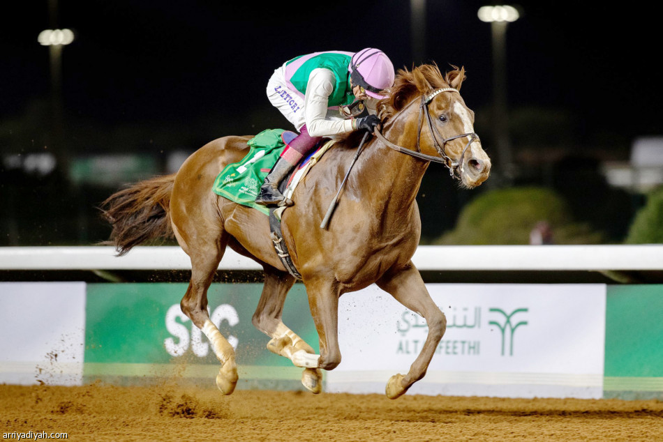 سونيك
يطير بملايين البحر الأحمر