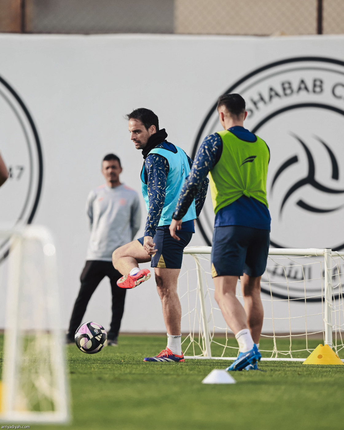 الليث يتأهب