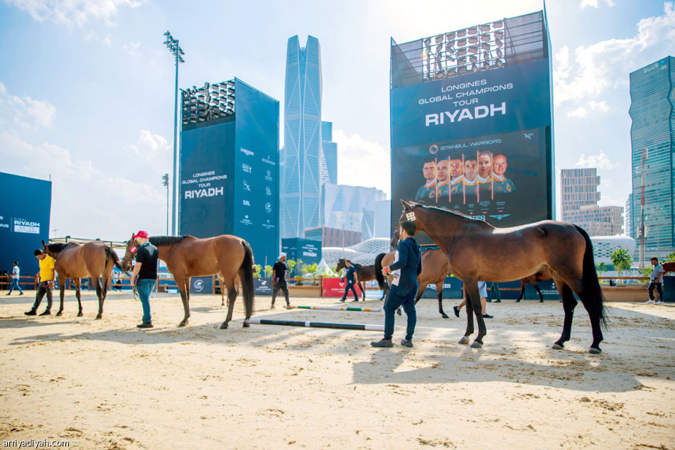 أرضية «أرينا».. 
التكلفة مليون ريال