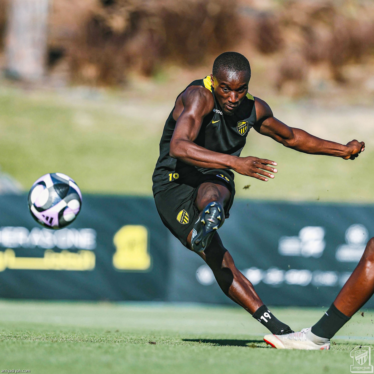 استنفار النمور