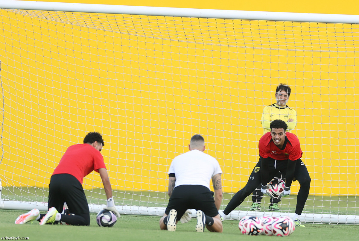 «النمور» تتربص