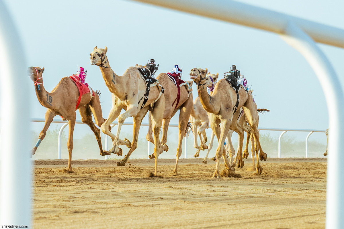 ترقب ومنافسة