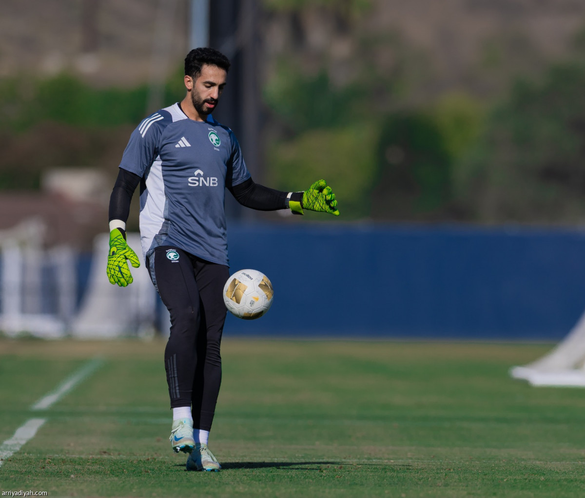 تدريب الأخضر