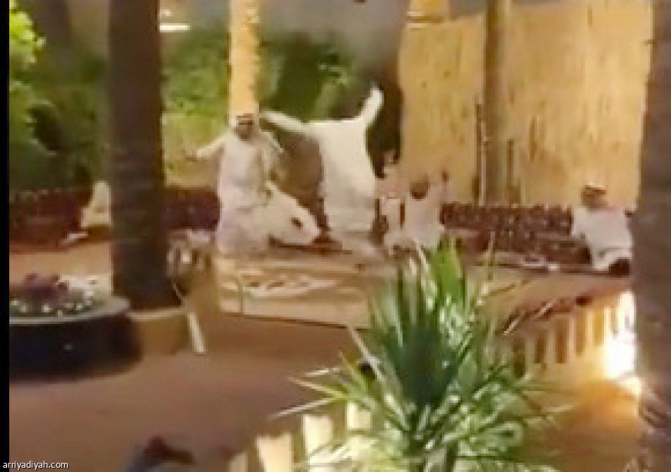 الطائي
ترند بفرحة الصعود